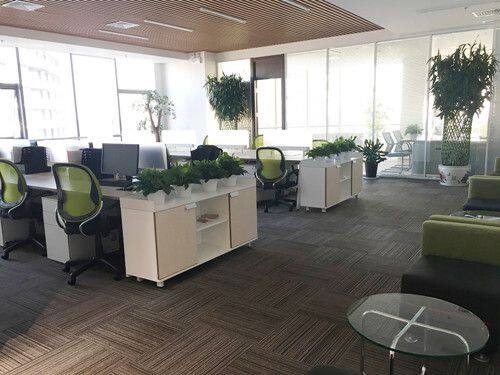 Powerful (Beijing) Petroleum Technology Co. LTD company overview - view 2