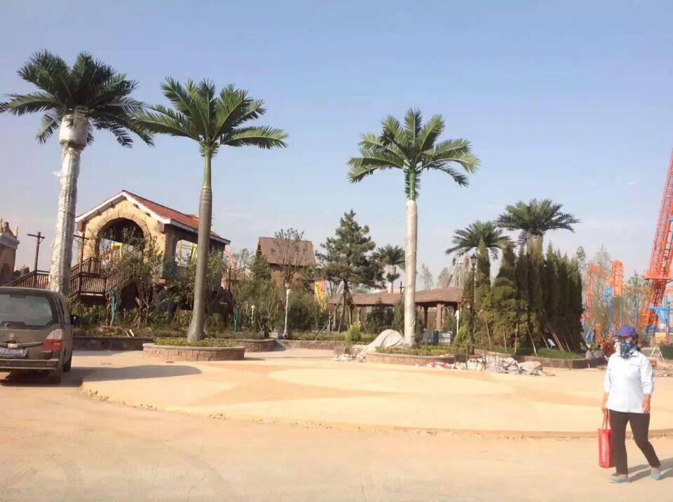 大王椰子树、海藻树1 (2)