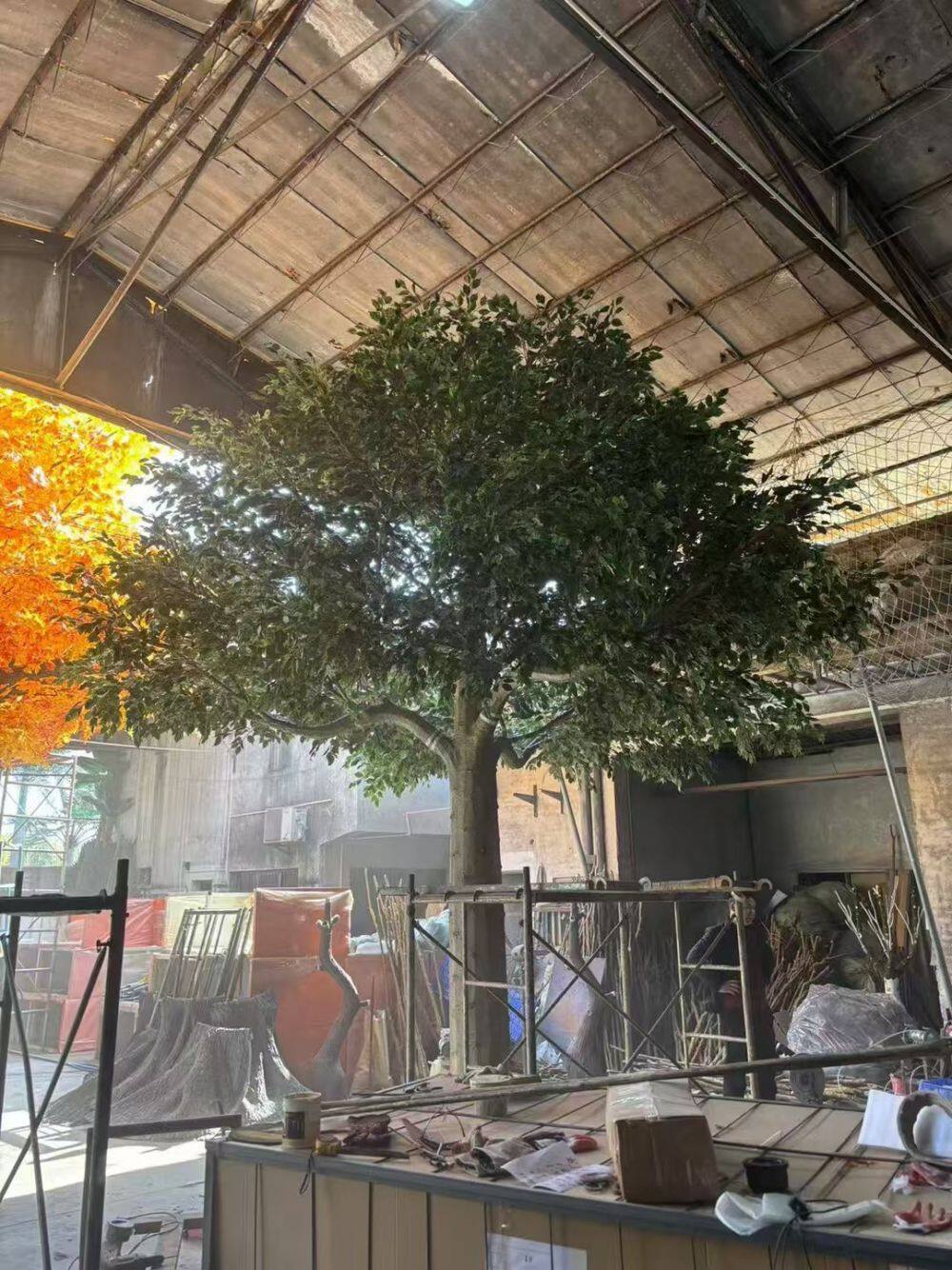 Olive tree-20250217 (1).jpg