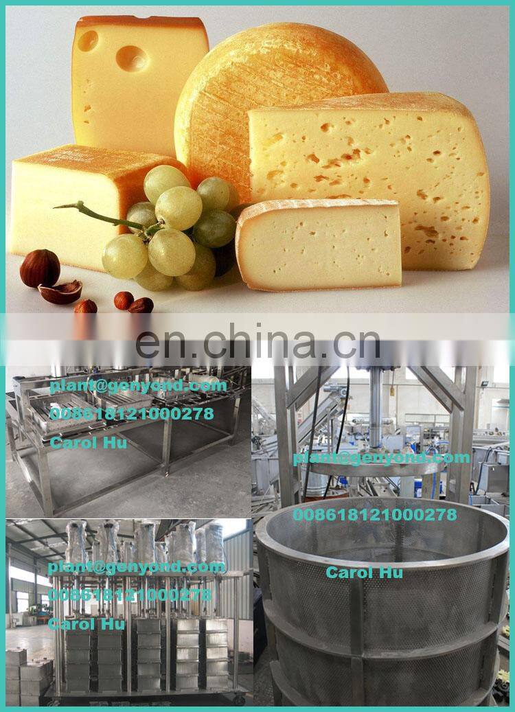 Factory Shanghai Genyond 4 6 8 heads cheese making machine molding moulding processing equipment cheese press pressing machine