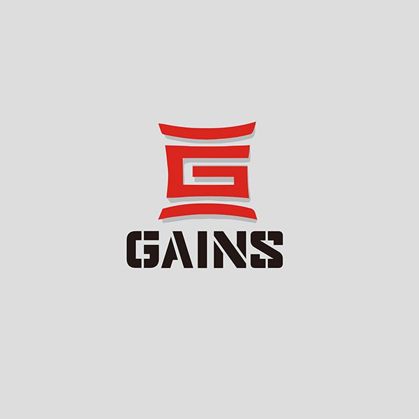 Hengshui Gains Trade Co., Ltd.