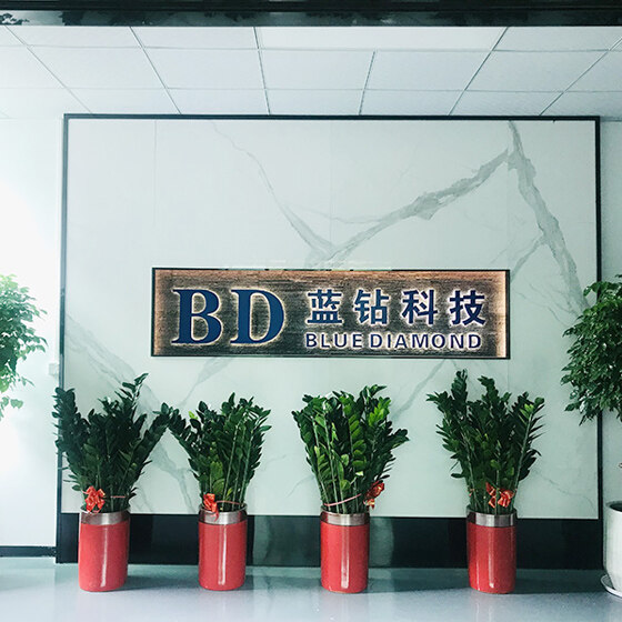 Shenzhen Blue Diamond Technology Co.,ltd company overview - view 1