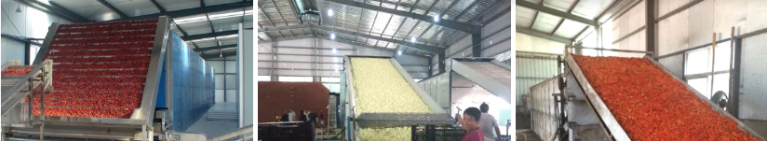 Fruit Processing Plant Layout Large Scale Production Fruit Pulp Separator 5000KG/H Fruit Juicer Production Line