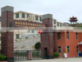 Fujian Quanzhou Longpeng Group Co., Ltd. company overview - view 1
