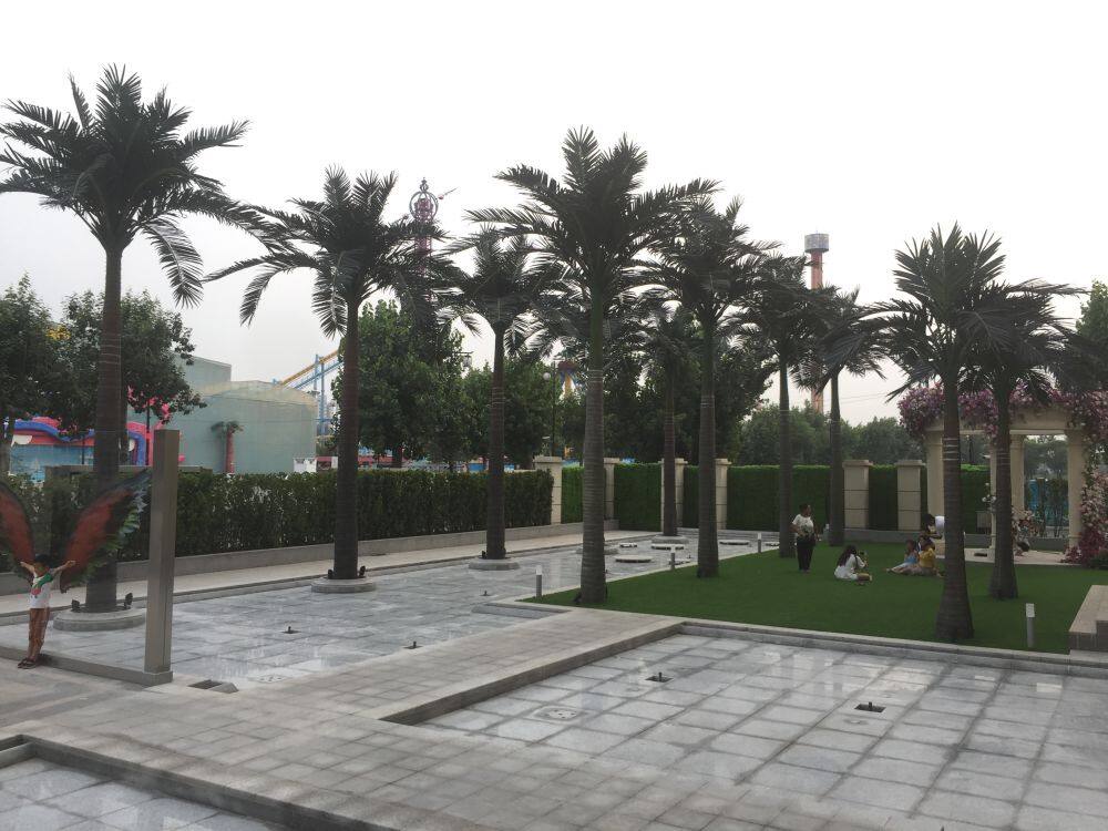 北京利舍 大王椰.jpg