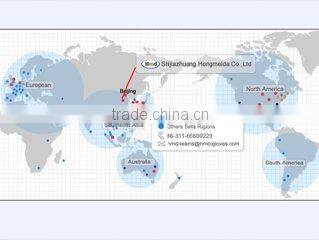 Shijiazhuang Hongmeida Co., Ltd. company overview - view 1