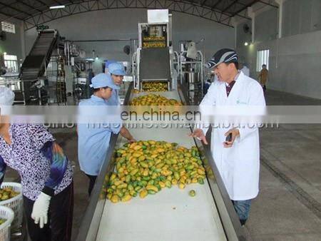 complete mango jam paste puree processing plant