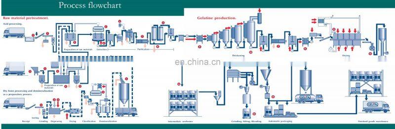 Factory Shanghai Genyond full automatic gelatin extraction drying making machine processing line gelatin production plant