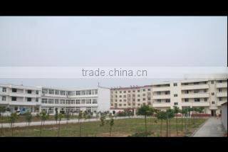 Lujiang Bright Down Textile Co., Ltd. company overview - view 2