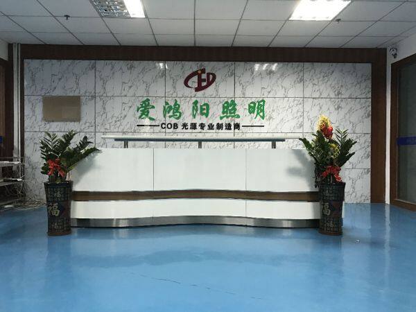 Shenzhen Aihongyang Lighting Co., Ltd. company overview - view 1