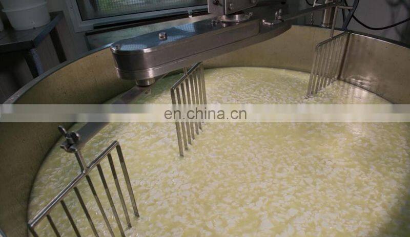 Customized small scale cheese vat for sale