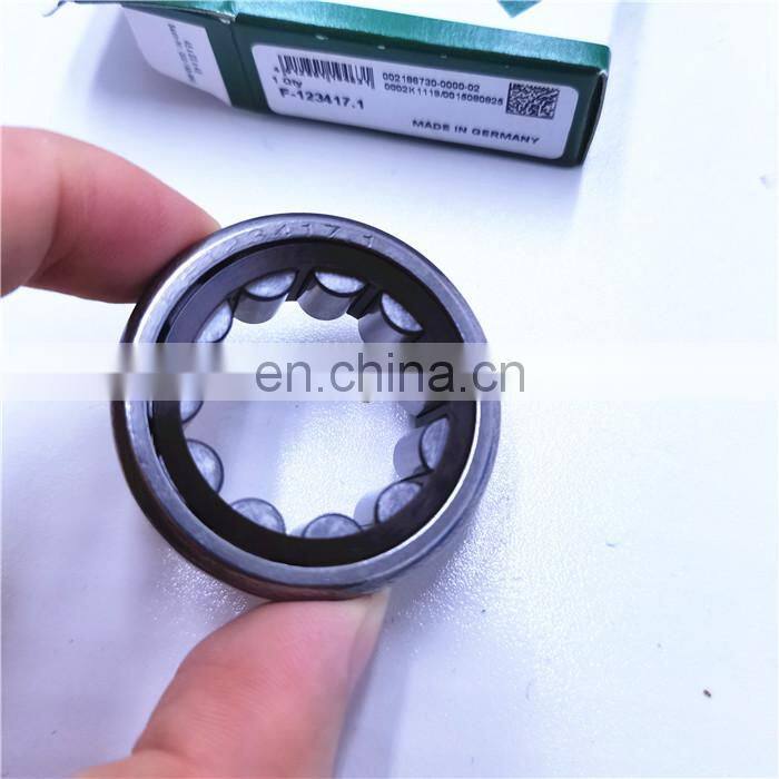 17.5*40*22.2mm F-123417.1 cylindrical roller bearing F-123417.1