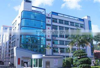 Shenzhen Ledora Lighting Co., Ltd. company overview - view 1