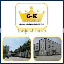 Shenzhen Golden Kind Industrial Co., Ltd. company overview - view 1