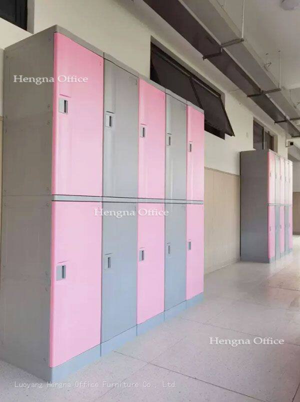 Pink and Gery ABS Lockers