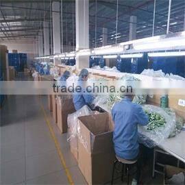 Guangzhou Vpower Trading Co., Ltd. company overview - view 3