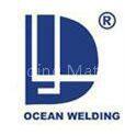 Lin’an Dayang Welding Material Co.,Ltd