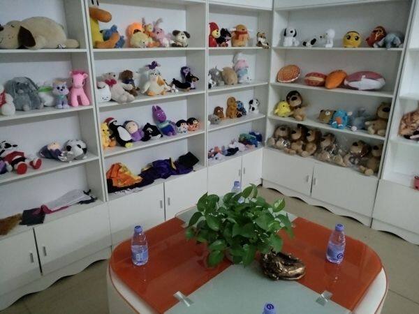 Dongguan Hong Sheng Toy Co., Ltd. company overview - view 1