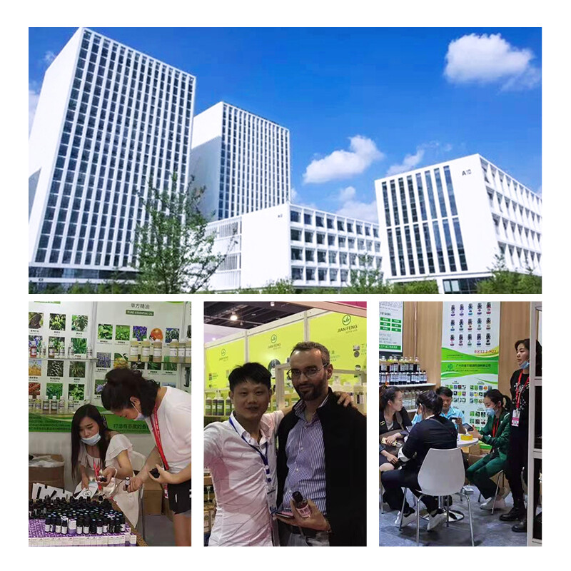 Shaanxi Baisifu Biological Engineering Co., Ltd company overview - view 2