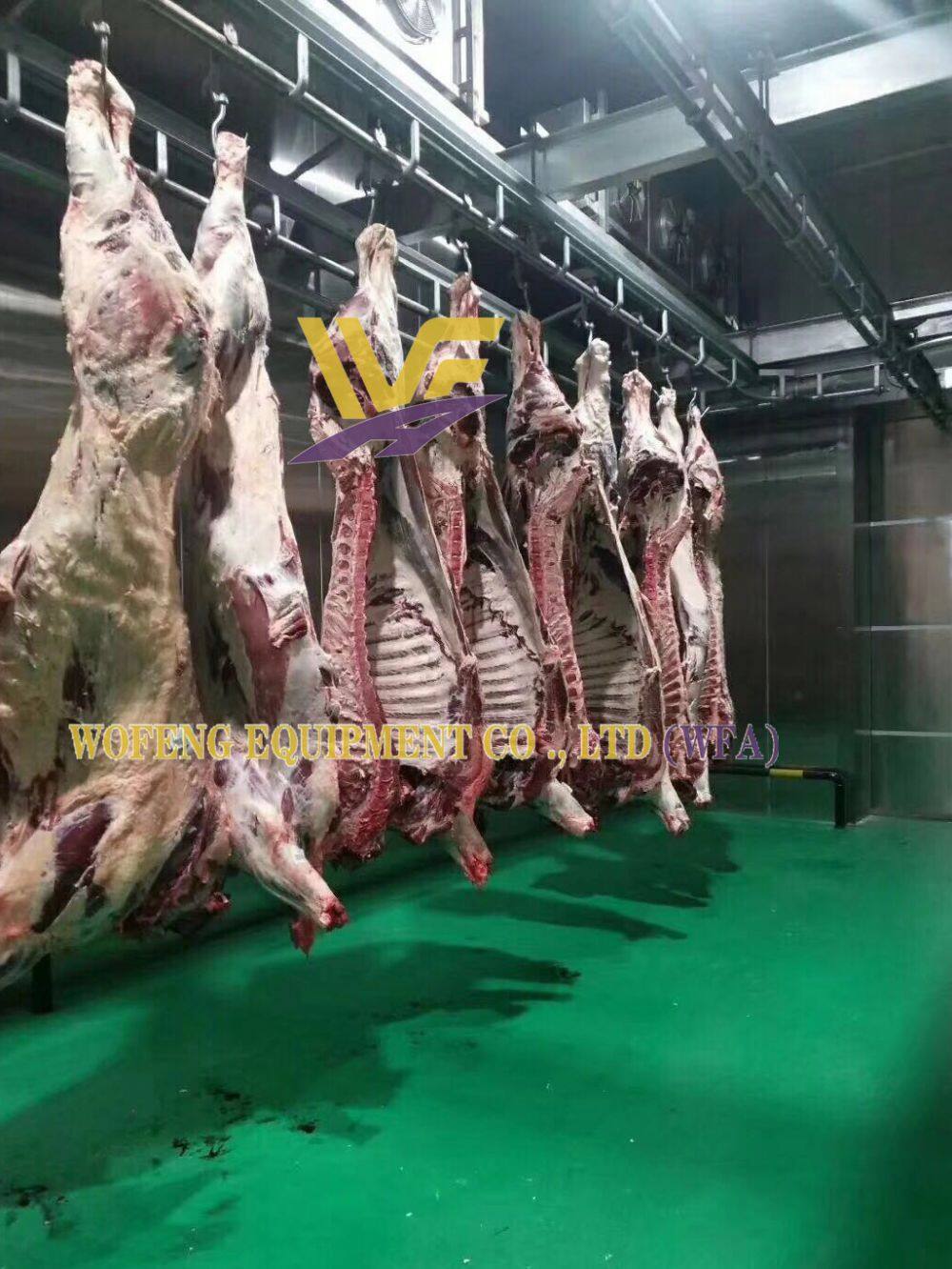 WFA manual convey rail (1).jpg