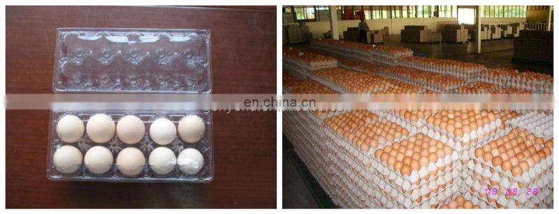 full automatic egg cleaning and sorting packing line production line processing line