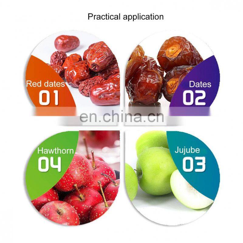 Turnkey project complete set of palm dates processing line Date Syrup Production line factory manufacture 500kg/hr