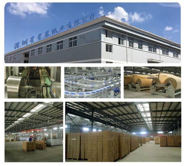 Shenzhen Sun & Star Paper Co. Ltd. company overview - view 4