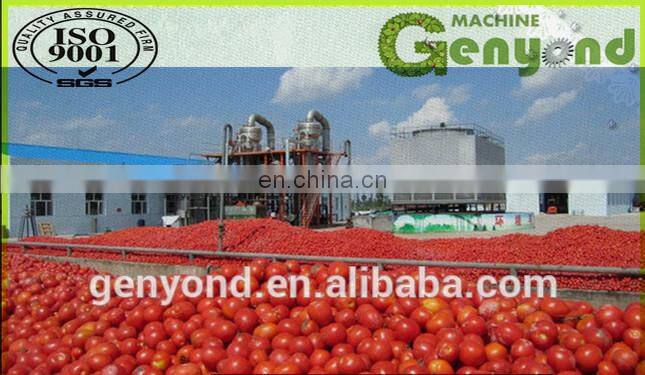 Tomato sauce production line/equipment