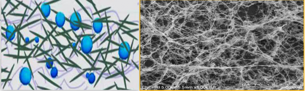 Stop Sedimentation in Plant Milk