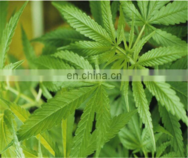 20% off essential oil supercritical CO2 extraction machine with cheap price