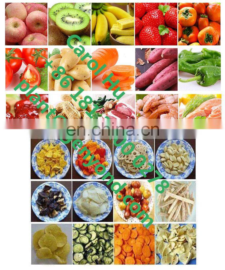 electric vacuum okra frying equipment