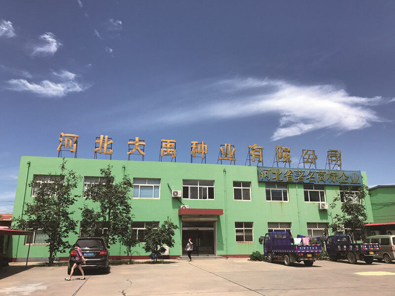 Hebei Dayu Seeds Co.,Ltd. company overview - view 1
