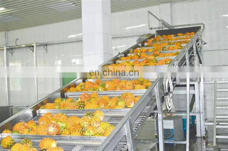 Industrial complete fruit juice making processing production line