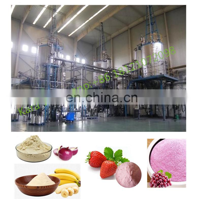 banana powder spray drying machine/processing plant