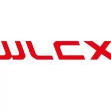 Huizhou Weilianchuangxin Electronic Materials Co., Ltd. company overview - view 1