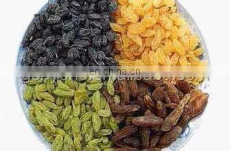 industrial raisin cleaning and sorting line / raisin processing machine