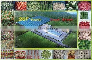 Hangzhou Zhonggefu Import And Export Co., Ltd. company overview - view 1