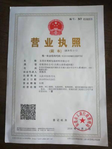 Dongguan Fanshun Packaging Materials Co., Ltd. company overview - view 1