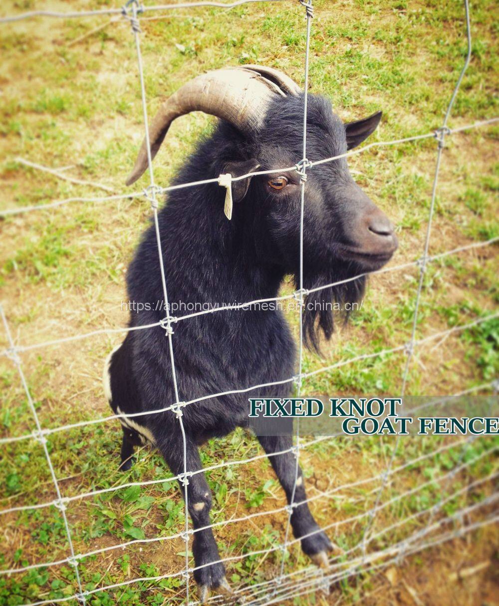 gettyimages-600699949-2048x2048