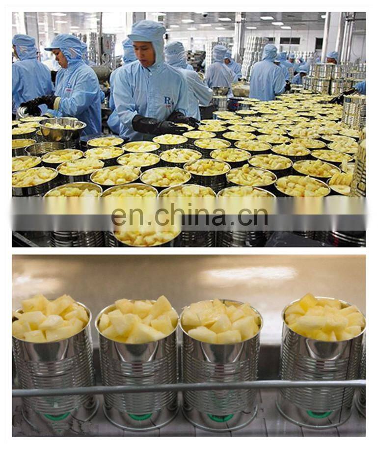 fully automatic pineapple peeling equipment slicing machine