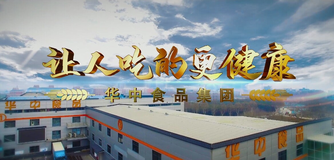 Henan Huazhong Food Co., Ltd. company overview - view 1