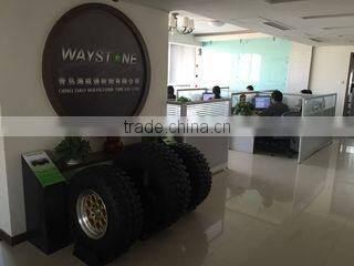 Qingdao Dino Tyre Co., Ltd. company overview - view 1