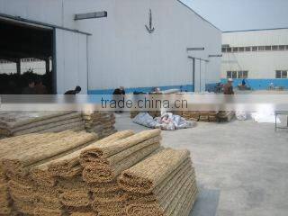 Youngsun Reed Farm company overview - view 1