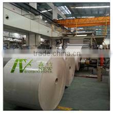 Dongguan New Bamboo Paper Co., Ltd. company overview - view 1