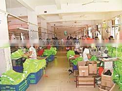 Jinhua Baidun Protection Tools Co., Ltd. company overview - view 3