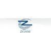 HANGZHOU ZGSM TECHNOLOGY Company Limited