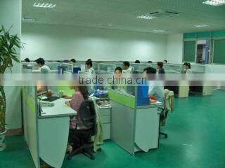 GGE Corp., Limited company overview - view 3