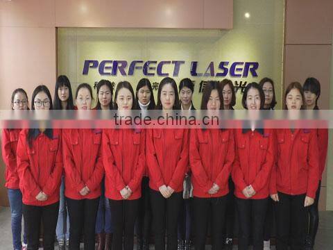 Perfect Laser (Wuhan) Co., Ltd. company overview - view 1