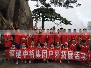 Fujian Zhongyu Group Co., Ltd. company overview - view 2