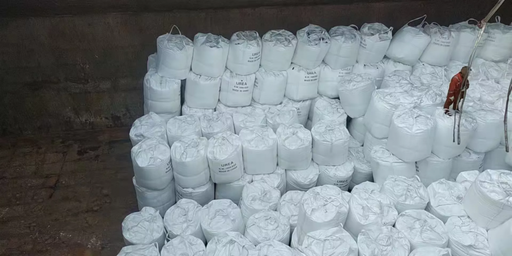 QQ图片20221023201621